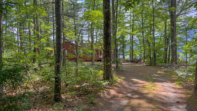 41 Sucker Brook Rd, Bridgton, ME 04009 - photo 50