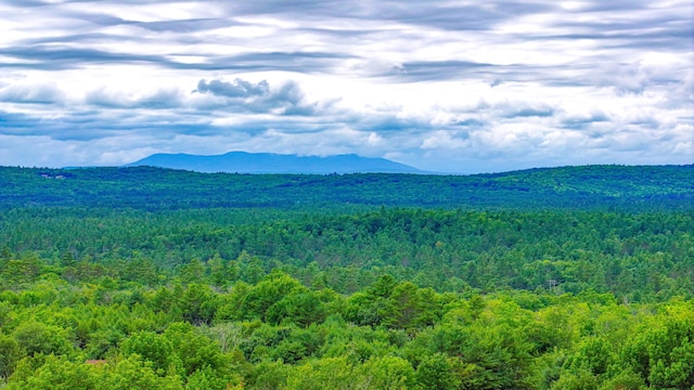 259 Leach Hill Rd, Casco, ME 04015 - photo 4