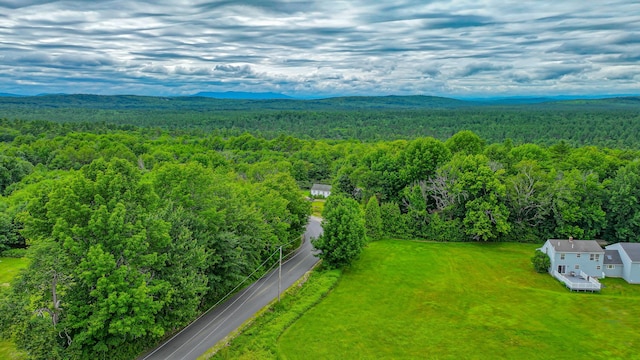 259 Leach Hill Rd, Casco, ME 04015 - photo 21