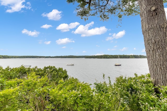 37 S Dyers Cove Rd, Harpswell, ME 04079 - photo 4