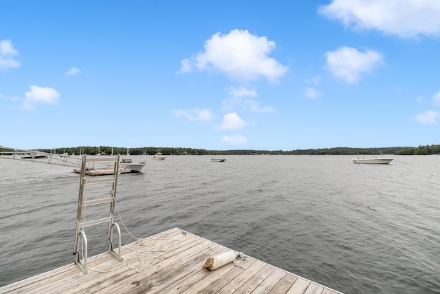 37 S Dyers Cove Rd, Harpswell, ME 04079 - photo 17