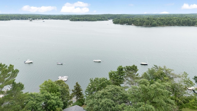 37 S Dyers Cove Rd, Harpswell, ME 04079 - photo 80
