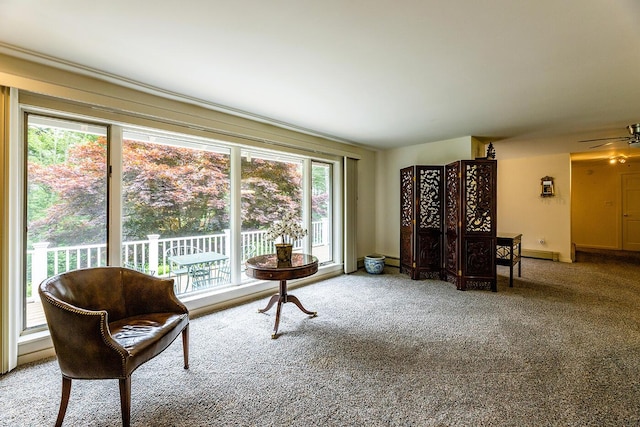 20 S Ridge Dr, Lincolnville, ME 04849 - photo 12