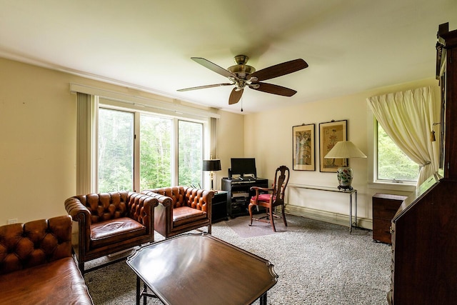 20 S Ridge Dr, Lincolnville, ME 04849 - photo 19