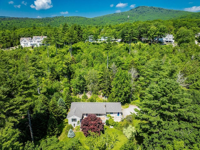 20 S Ridge Dr, Lincolnville, ME 04849 - photo 35