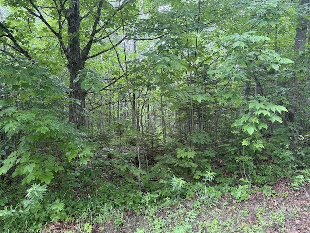 P/OM7L32 Huff Corner Rd, Wellington, ME 04942 - photo 5