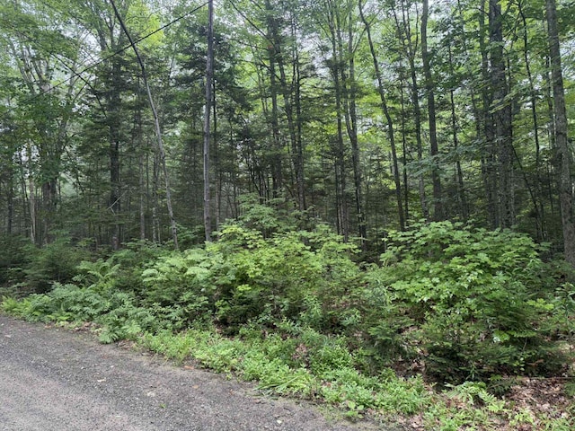 P/OM7L32 Huff Corner Rd, Wellington, ME 04942 - photo 6