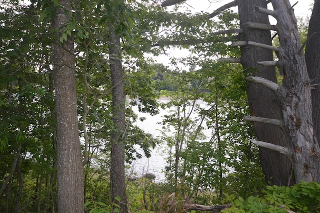 118 Bradley Rd, Milford, ME 04461 - photo 41