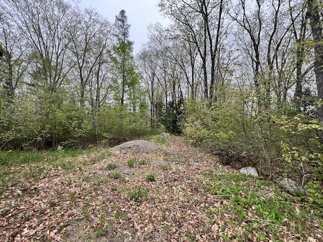 1660 Main Rd, Greenbush, ME 04418 - photo 13