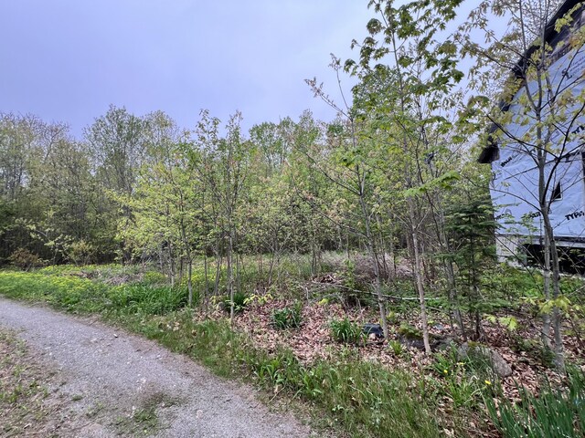 1660 Main Rd, Greenbush, ME 04418 - photo 11