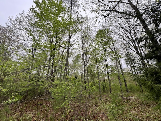 1660 Main Rd, Greenbush, ME 04418 - photo 20
