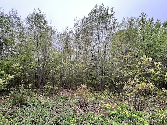 1660 Main Rd, Greenbush, ME 04418 - photo 2