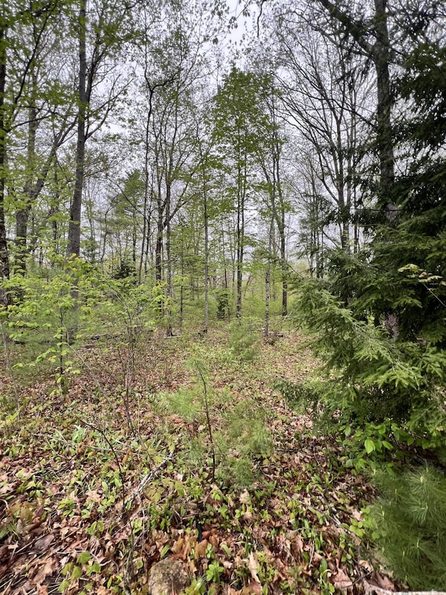 1660 Main Rd, Greenbush, ME 04418 - photo 6
