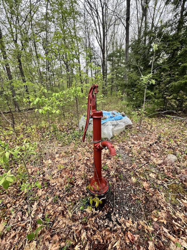 1660 Main Rd, Greenbush, ME 04418 - photo 7