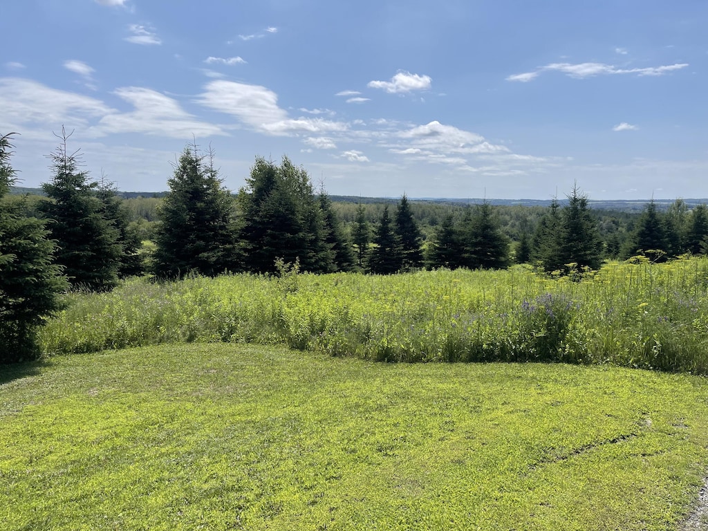 0 Grimes Rd, Caribou, ME 04736 - photo 2
