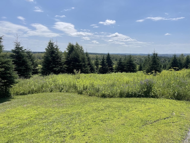 0 Grimes Rd, Caribou, ME 04736 - photo 2