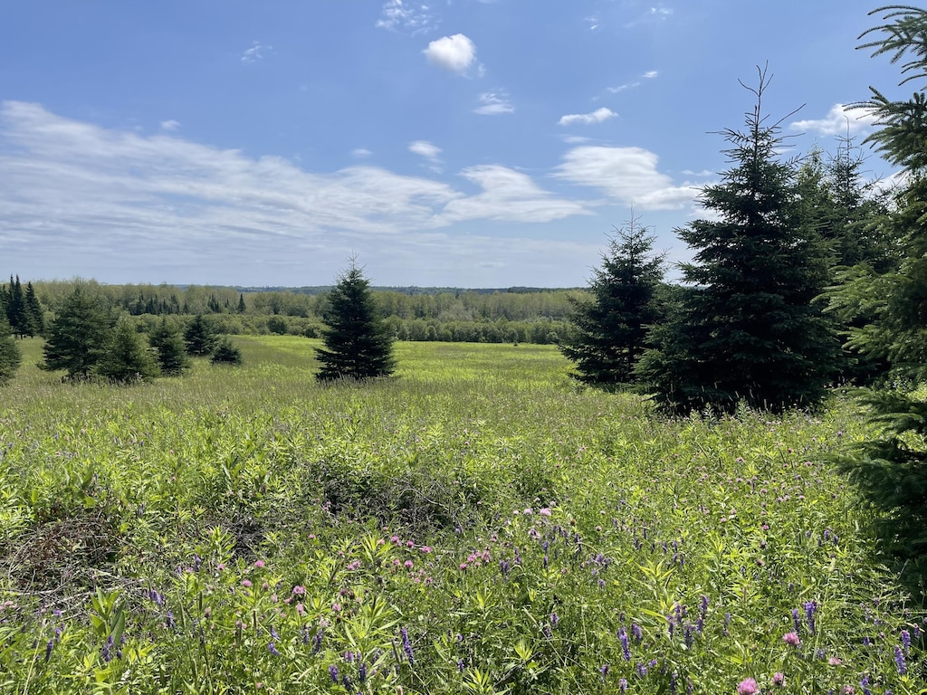 0 Grimes Rd, Caribou, ME 04736 - photo 3