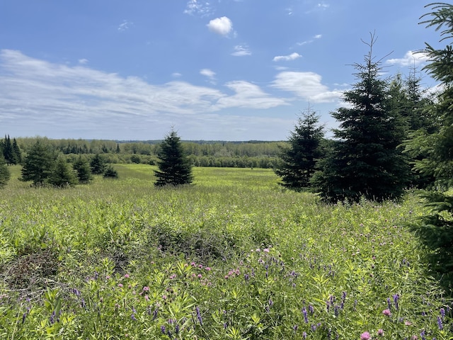 0 Grimes Rd, Caribou, ME 04736 - photo 3