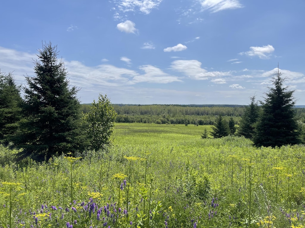 0 Grimes Rd, Caribou, ME 04736 - photo 4