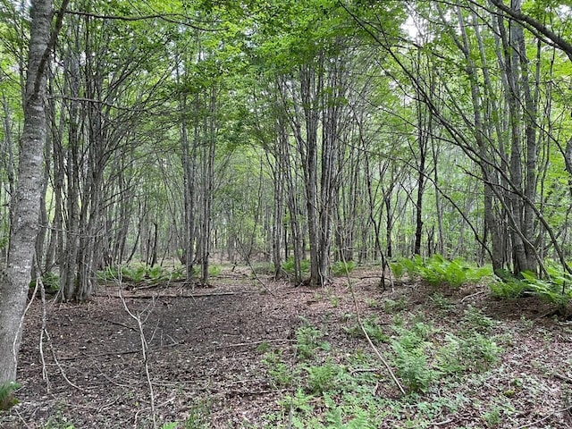 LOT118 Kansas Rd, Milbridge, ME 04658