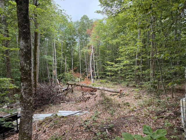 070K Fern Rd, Dover-Foxcroft, ME 04426 - photo 2