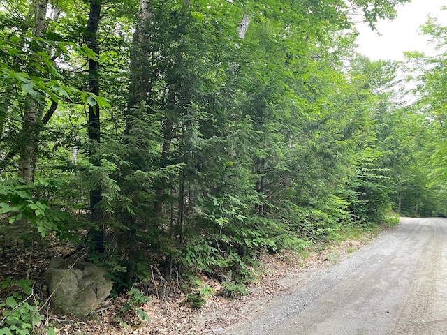 LOT29 Scammon Rd, Greenville, ME 04441 - photo 2