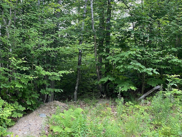 LOT29 Scammon Rd, Greenville, ME 04441 - photo 3
