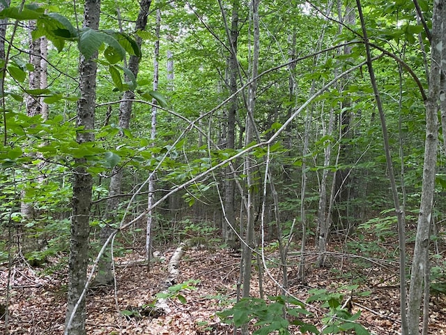 LOT29 Scammon Rd, Greenville, ME 04441 - photo 6