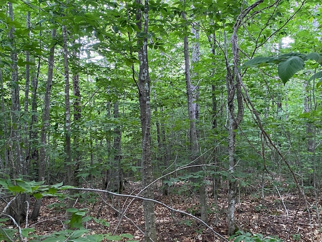 LOT29 Scammon Rd, Greenville, ME 04441 - photo 11