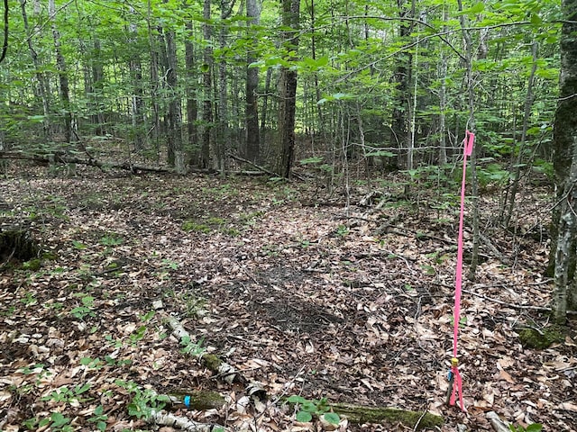 LOT29 Scammon Rd, Greenville, ME 04441 - photo 4