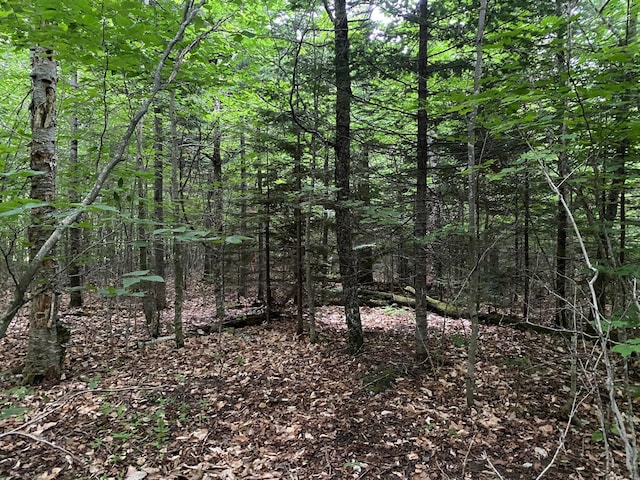 LOT29 Scammon Rd, Greenville, ME 04441 - photo 8