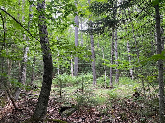 LOT29 Scammon Rd, Greenville, ME 04441 - photo 7