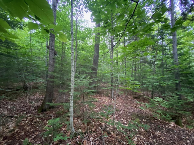 LOT29 Scammon Rd, Greenville, ME 04441 - photo 9