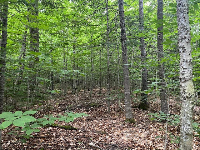 LOT29 Scammon Rd, Greenville, ME 04441 - photo 1