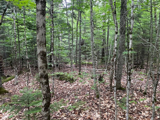 LOT29 Scammon Rd, Greenville, ME 04441 - photo 10