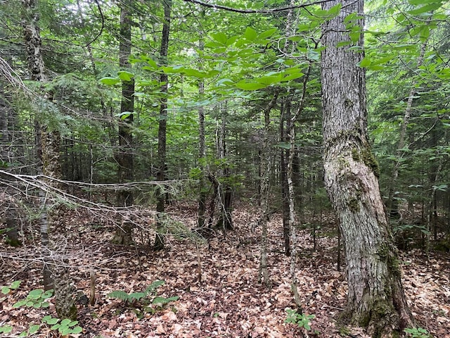LOT29 Scammon Rd, Greenville, ME 04441 - photo 12