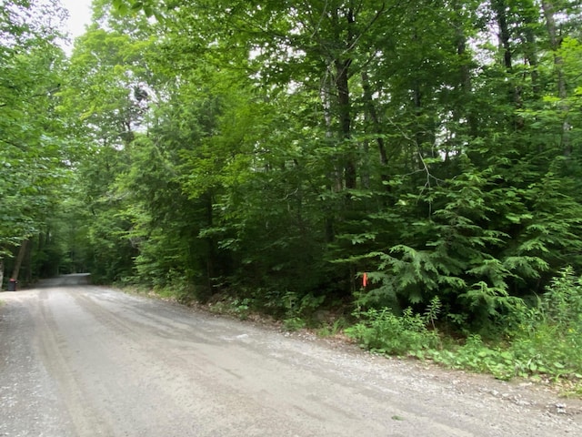 LOT29 Scammon Rd, Greenville, ME 04441 - photo 13