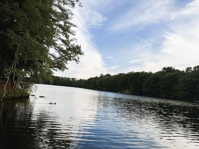 57 Riverside Rdg, Windham, ME 04062 - photo 6