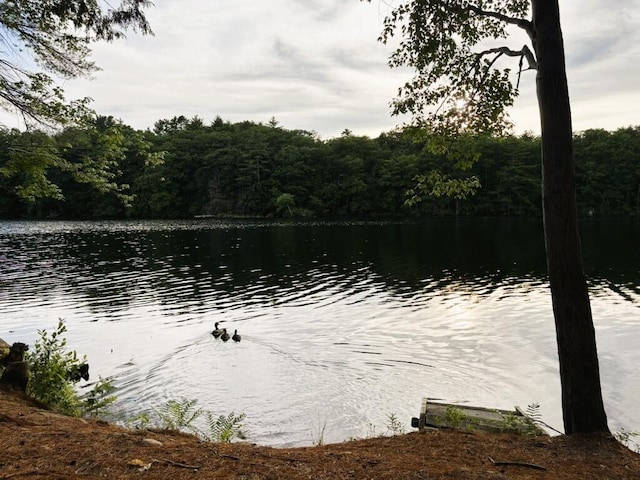 57 Riverside Rdg, Windham, ME 04062 - photo 7