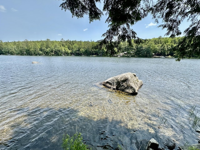 52 Quimby Ln, Fayette, ME 04349 - water view with a heavily wooded area