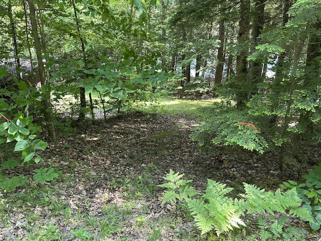 52 Quimby Ln, Fayette, ME 04349 - view of undeveloped land