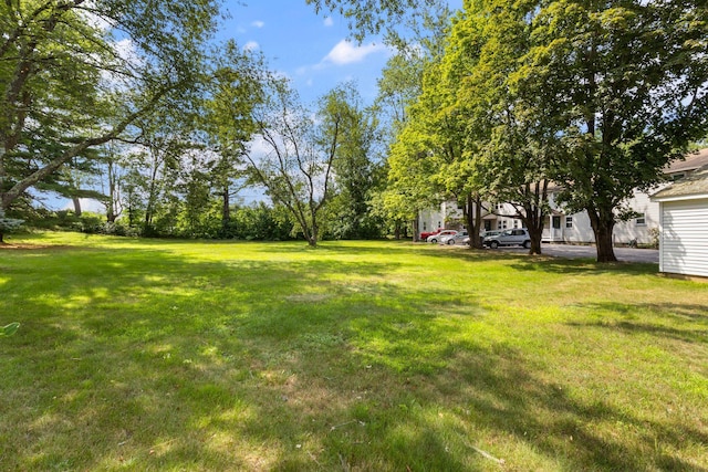 395 Alfred St, Biddeford, ME 04005 - view of green lawn