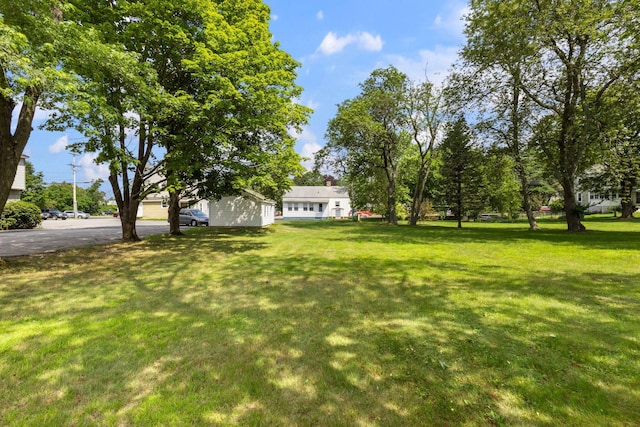 395 Alfred St, Biddeford, ME 04005 - view of green lawn