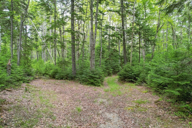 M7L5, 6 Pineo Point Rd, Harrington, ME 04643 - photo 25