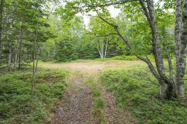 M7L5, 6 Pineo Point Rd, Harrington, ME 04643 - photo 23