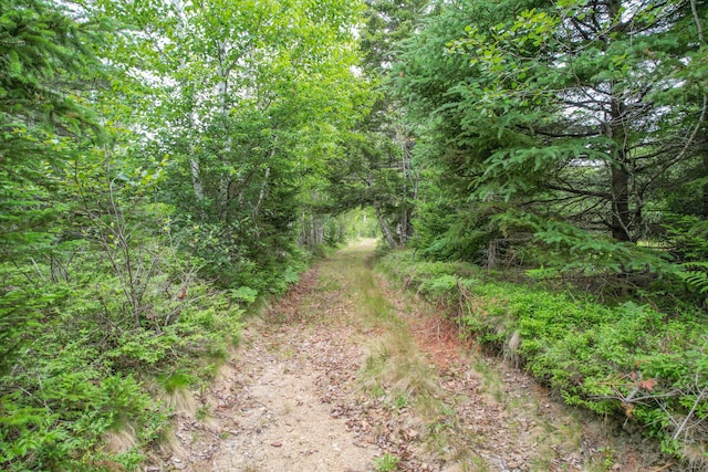 M7L5, 6 Pineo Point Rd, Harrington, ME 04643 - photo 10