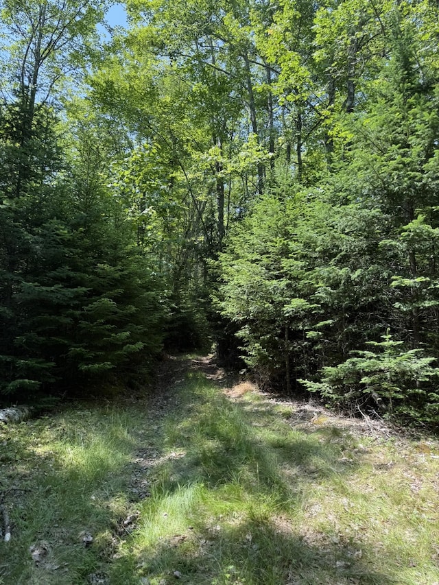 M7L5, 6 Pineo Point Rd, Harrington, ME 04643 - photo 34