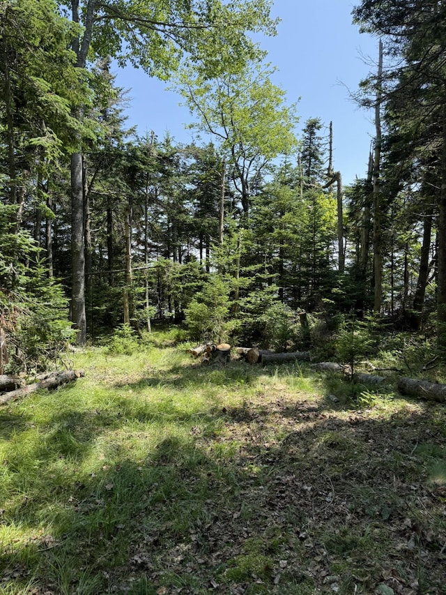M7L5, 6 Pineo Point Rd, Harrington, ME 04643 - photo 35