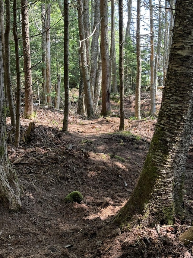 M7L5, 6 Pineo Point Rd, Harrington, ME 04643 - photo 28