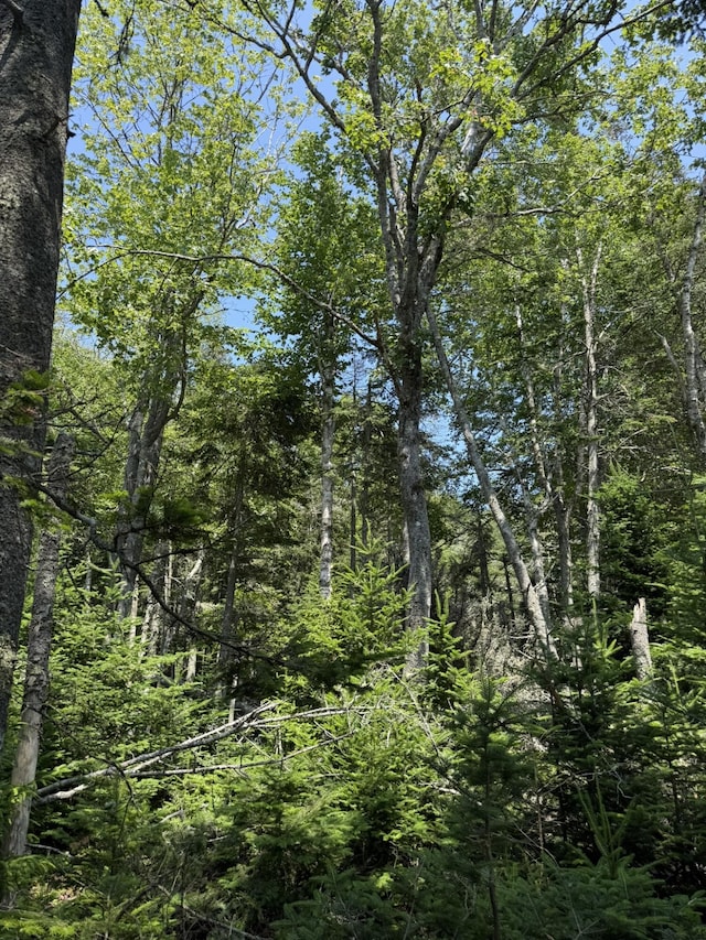 M7L5, 6 Pineo Point Rd, Harrington, ME 04643 - photo 37